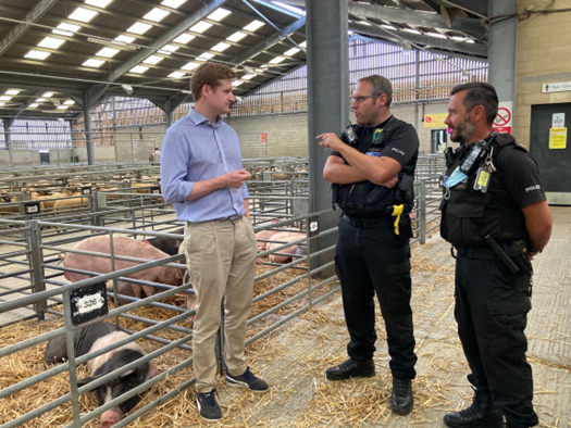 rural officers at cattle market.png